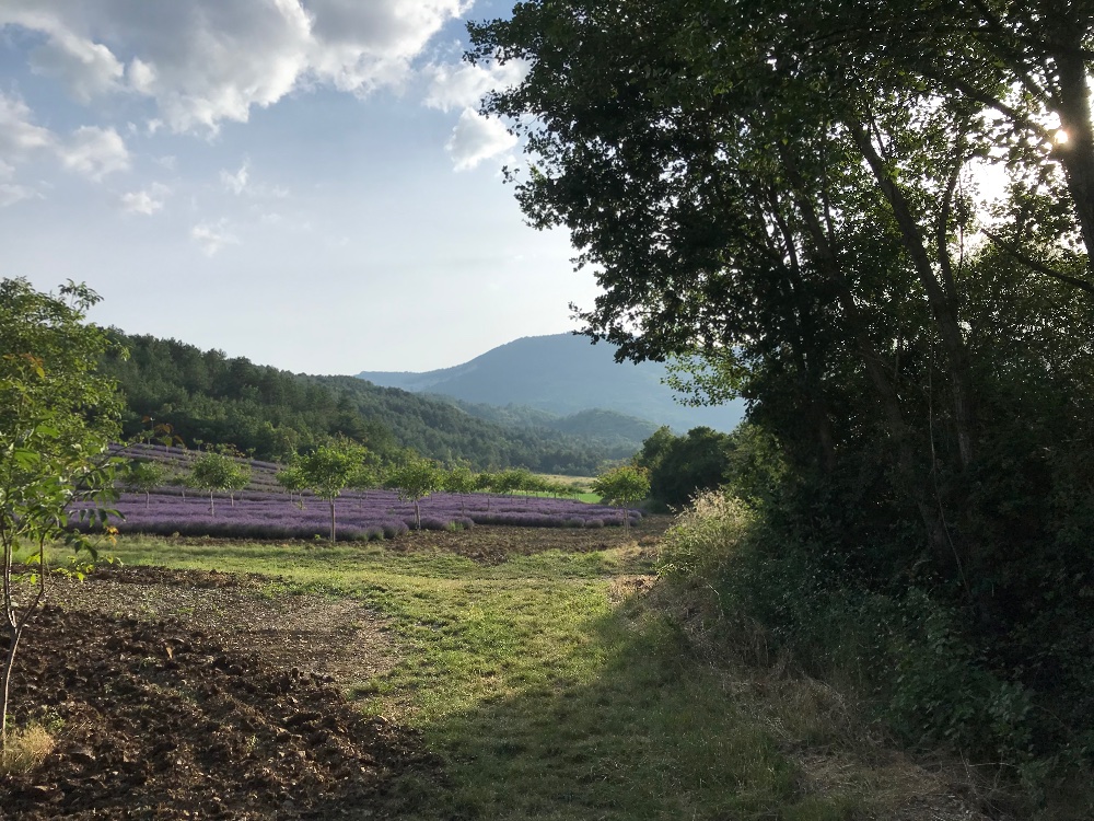 Aire camping-car  Montmaur-en-Diois (26150) - Photo 2